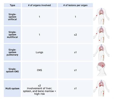 Langerhans cell histiocytosis: current advances in molecular pathogenesis